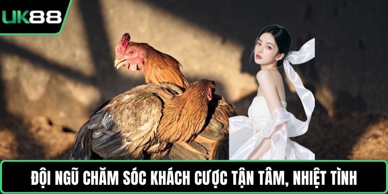 Đội ngũ chăm sóc khách cược tận tâm, nhiệt tình