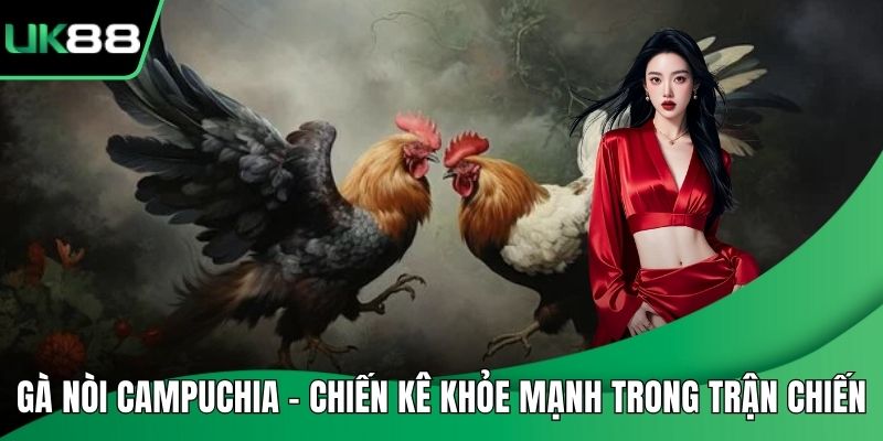 Gà Nòi Campuchia - Chiến Kê Khỏe Mạnh Trong Từng Trận Chiến