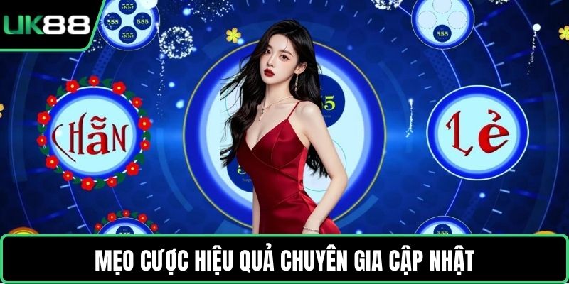 Mẹo cược hiệu quả chuyên gia cập nhật