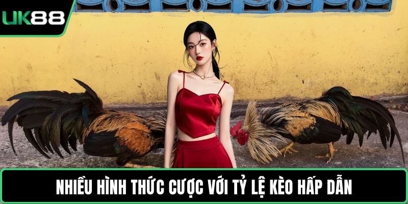 Nhiều hình thức cược với tỷ lệ kèo hấp dẫn