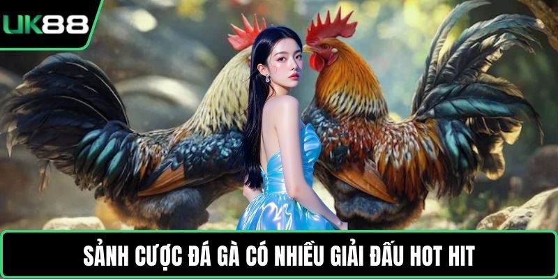 Sảnh cược đá gà có nhiều giải đấu hot hit