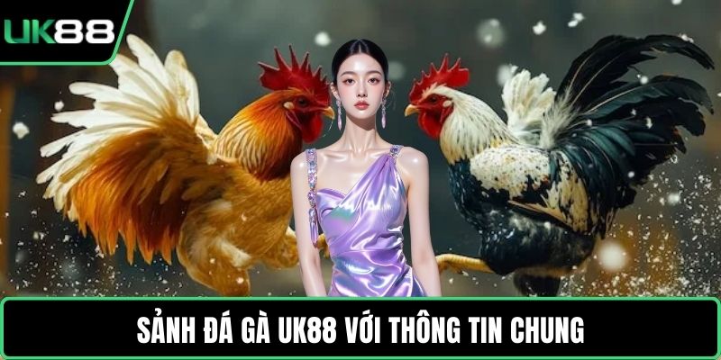 Sảnh đá gà UK88 với thông tin chung