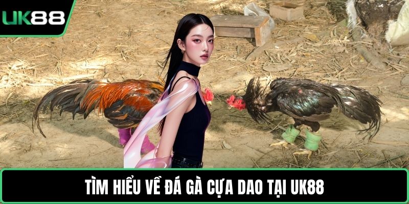 Tìm hiểu về đá gà cựa dao tại UK88