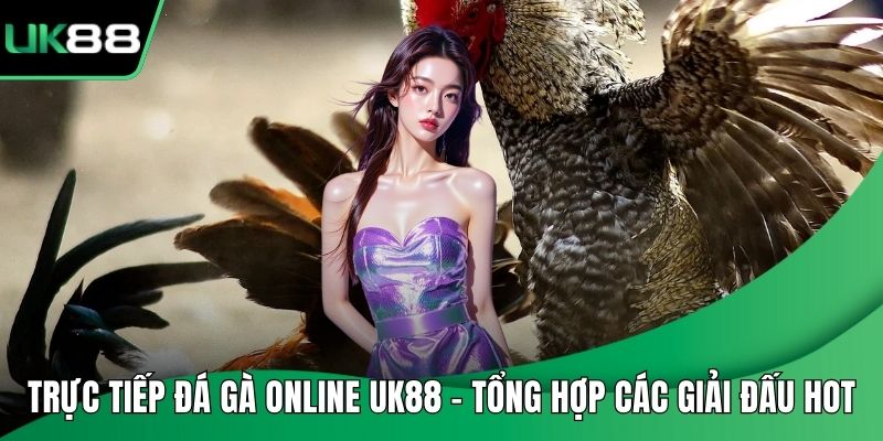 Trực Tiếp Đá Gà Online UK88 - Tổng Hợp Các Giải Đấu Hot